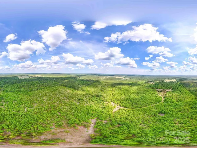 a view of an ocean from a yard