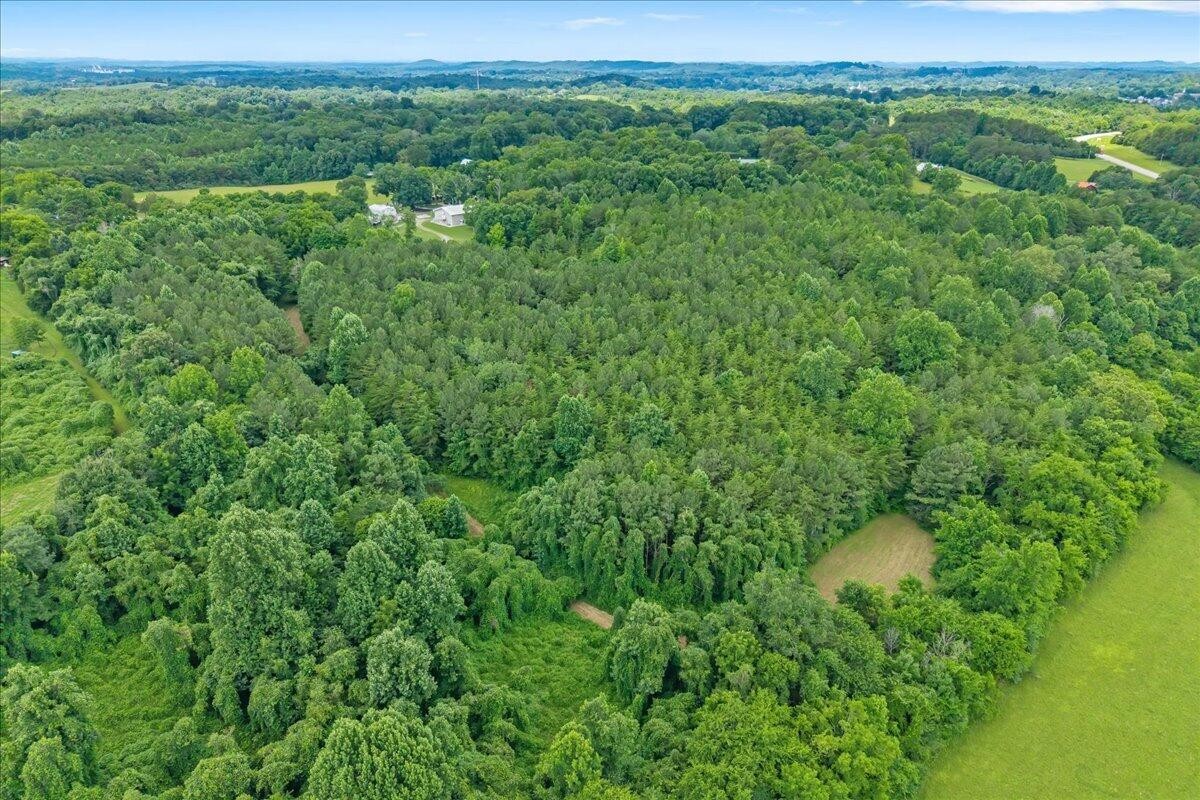 359 Co Road Etowah, TN 37331 - Photo 53 of 53