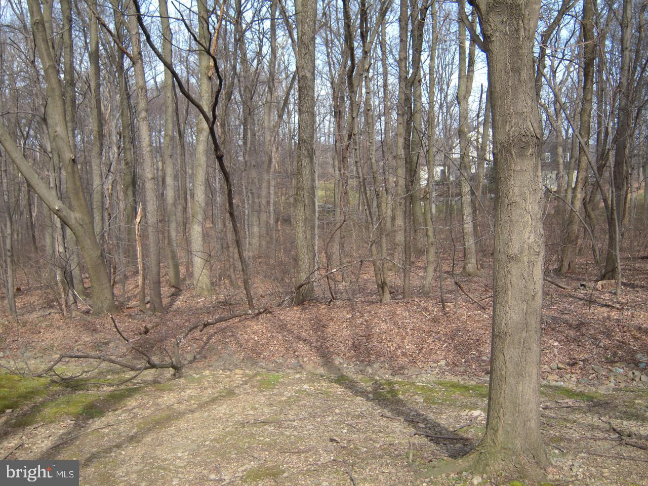 209 Topland Drive Lancaster, PA 17601 - Photo 16 of 16