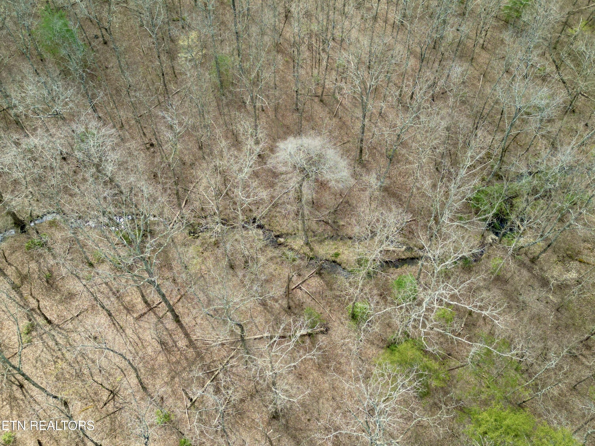 0 Leffle Webb Road Crossville, TN 38572 - Photo 9 of 27 Gallery Image 9