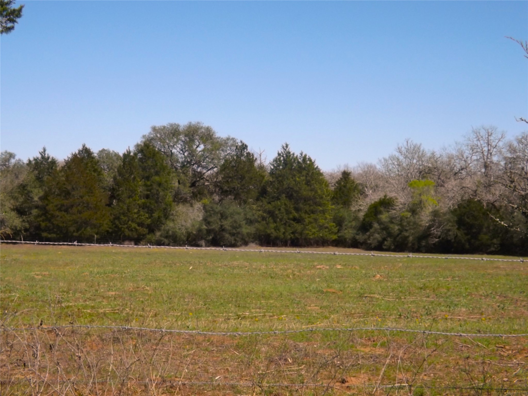 1649 County Road 209 Weimar, TX 78962 - Photo 11 of 27 a view of patio with a yard