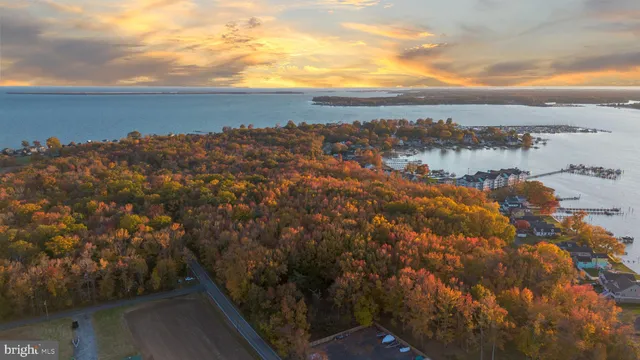 a view of city and mountain