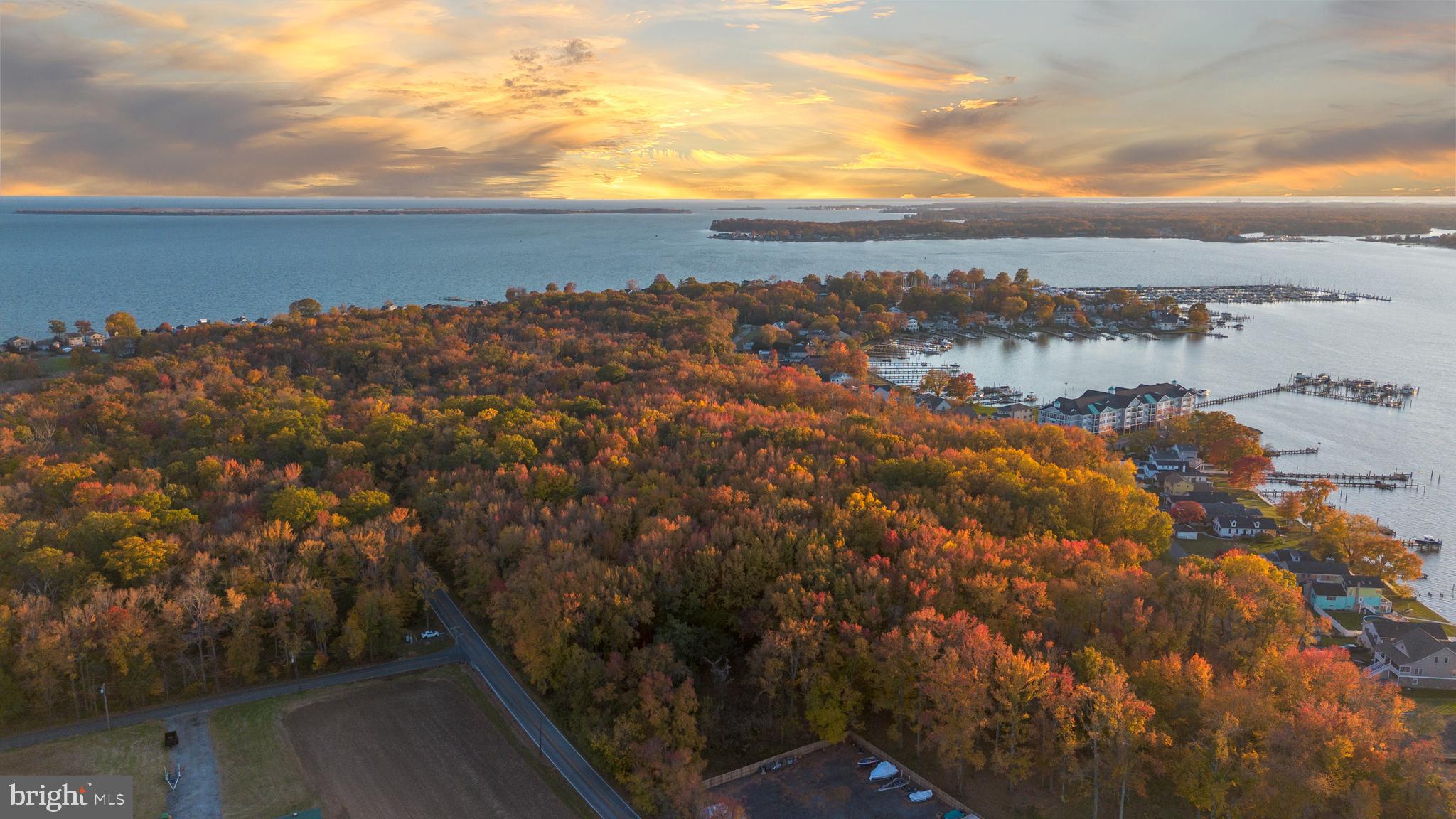 a view of city and mountain