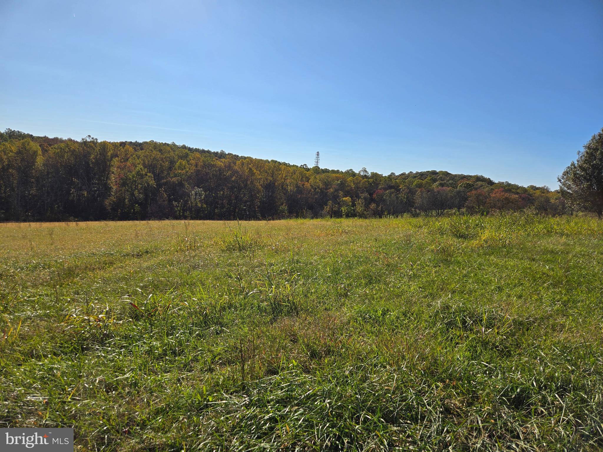 2 Griffith Road Mount Airy, MD 21771 - Photo 13 of 26 Looking Southwest