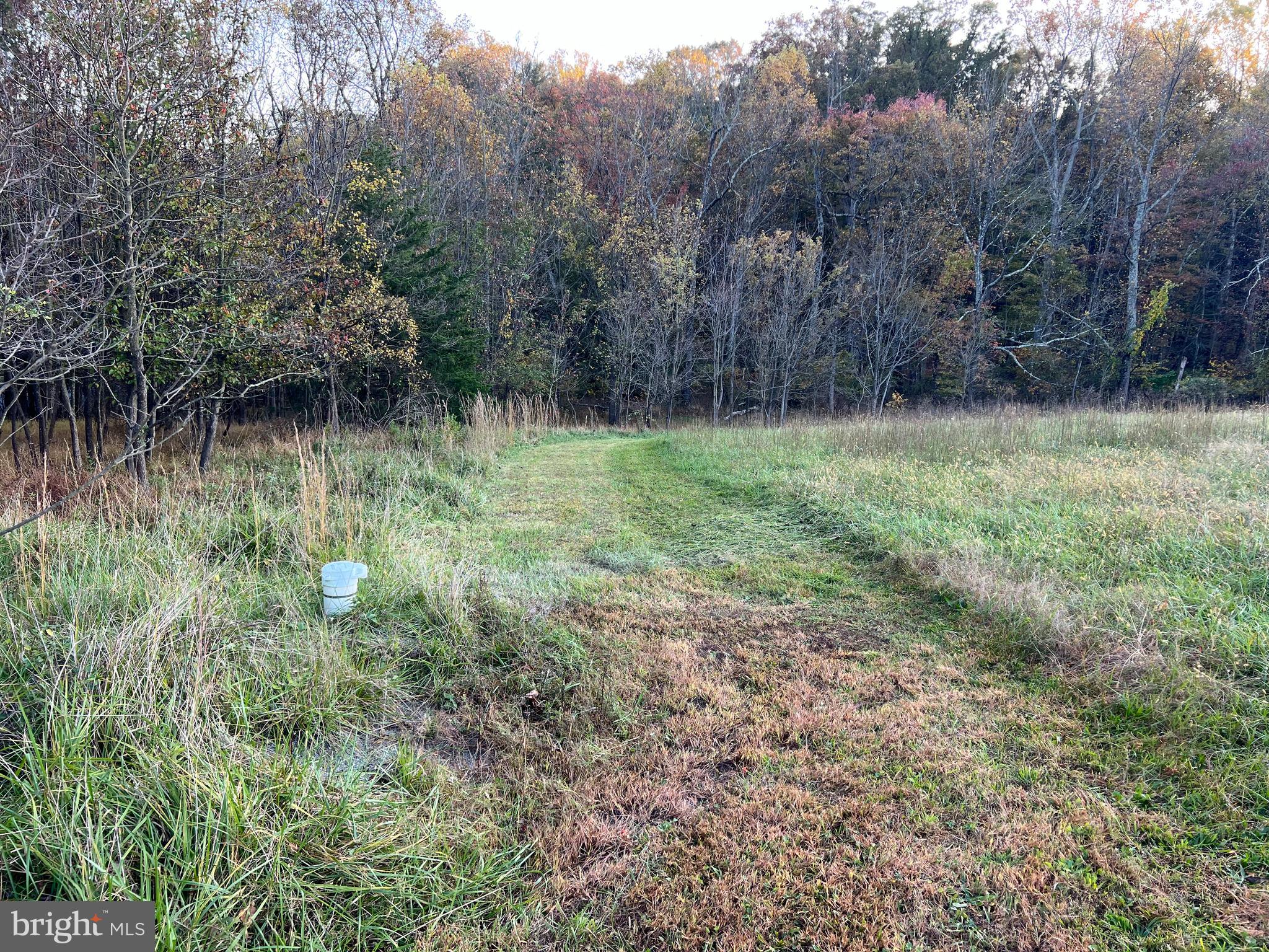 2 Griffith Road Mount Airy, MD 21771 - Photo 21 of 26 Well Head is towards Left Rear Corner on parcel