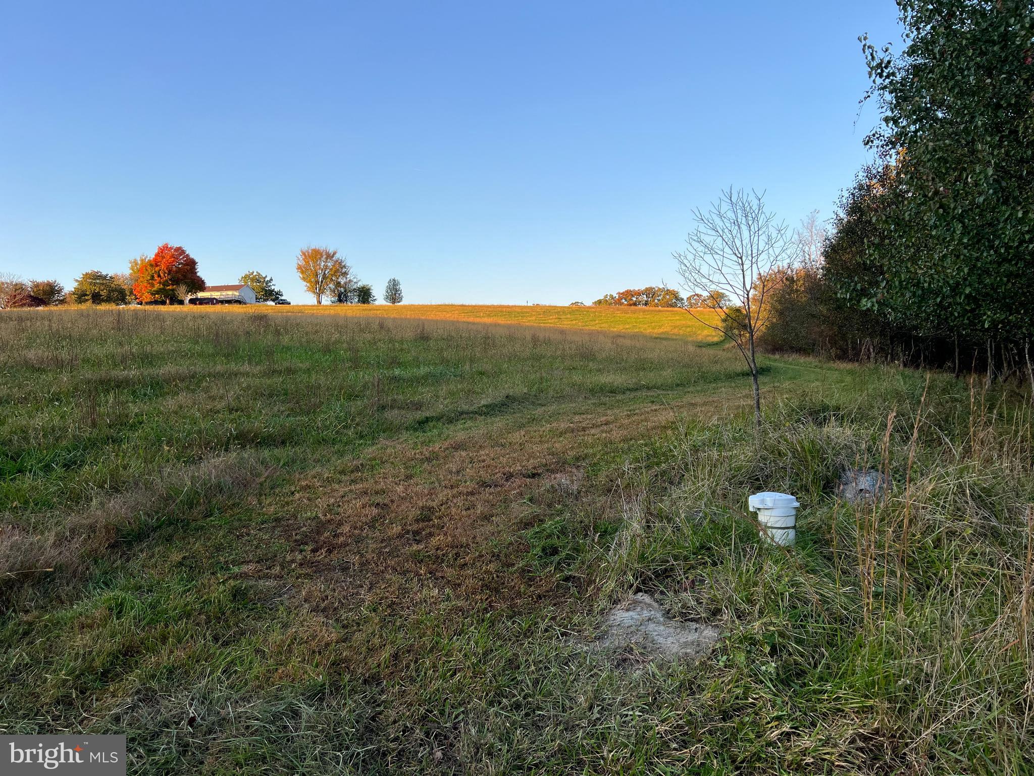 2 Griffith Road Mount Airy, MD 21771 - Photo 22 of 26 Well Head view facing the front of parcel