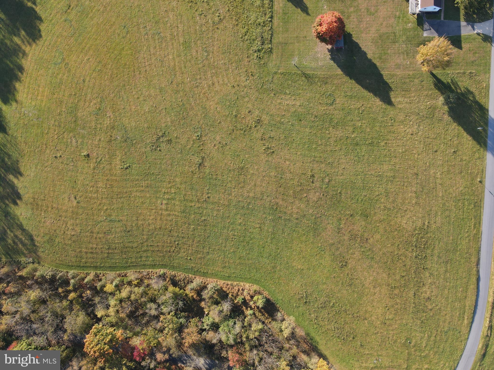 2 Griffith Road Mount Airy, MD 21771 - Photo 4 of 26 Proposed build area
