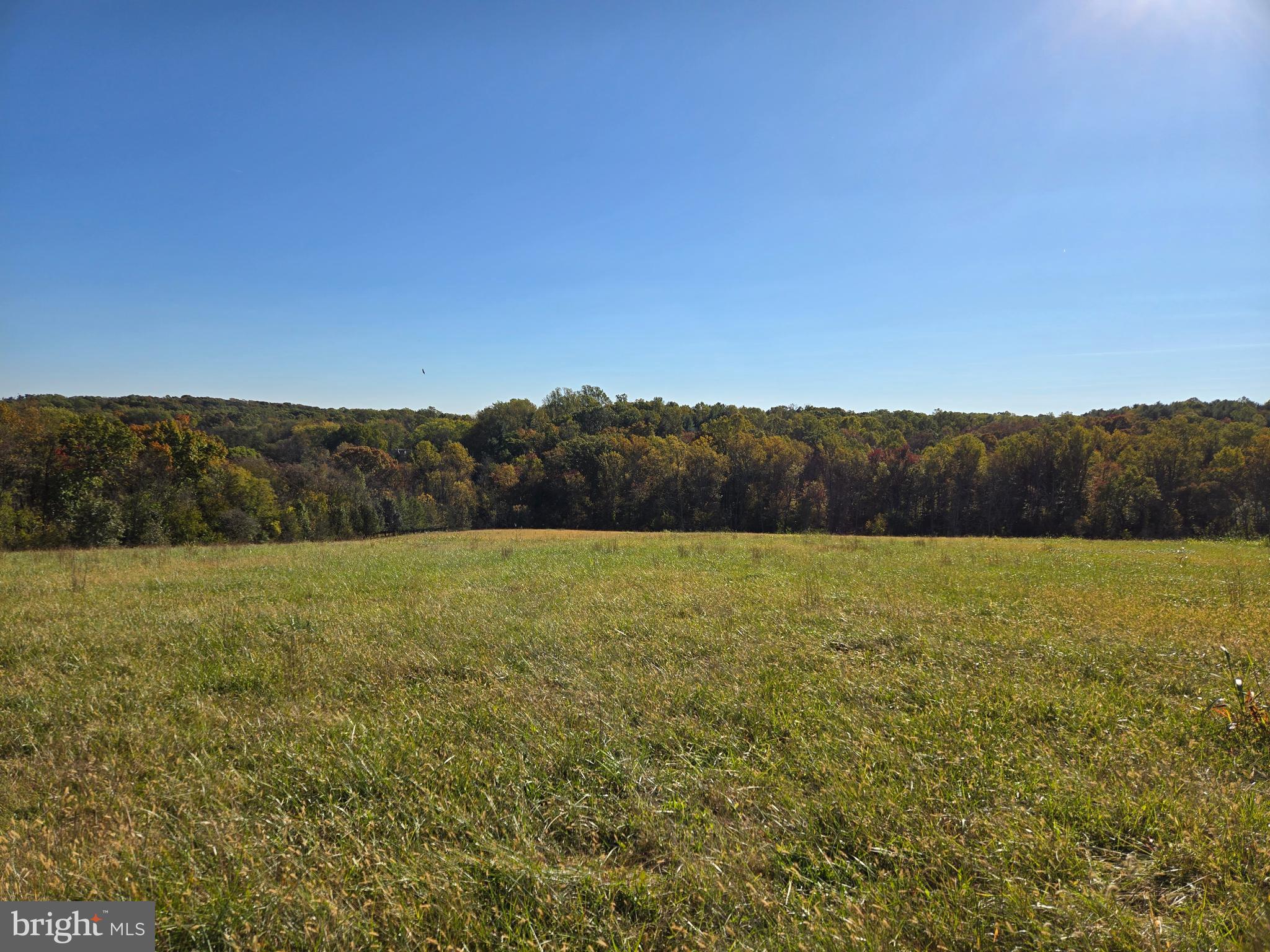 2 Griffith Road Mount Airy, MD 21771 - Photo 10 of 26 Gently Sloped and Edged by Trees and Stream