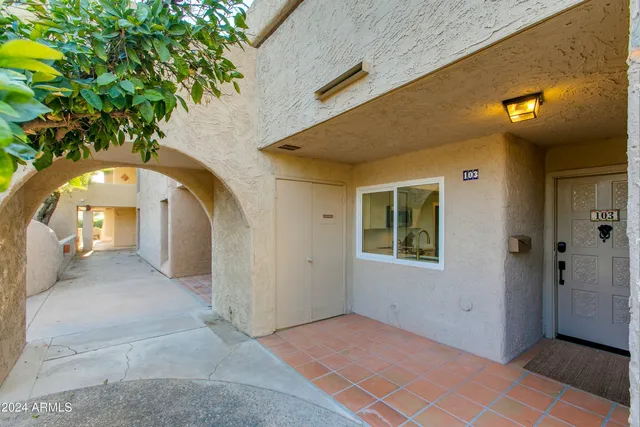 a view of a back yard of the house