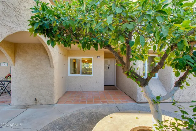 a view of a porch with furniture and a potted plant