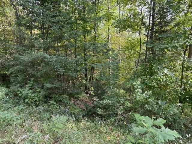 0 County Rd K Irma, WI 54442 - Photo 14 of 32 Gallery Image 14