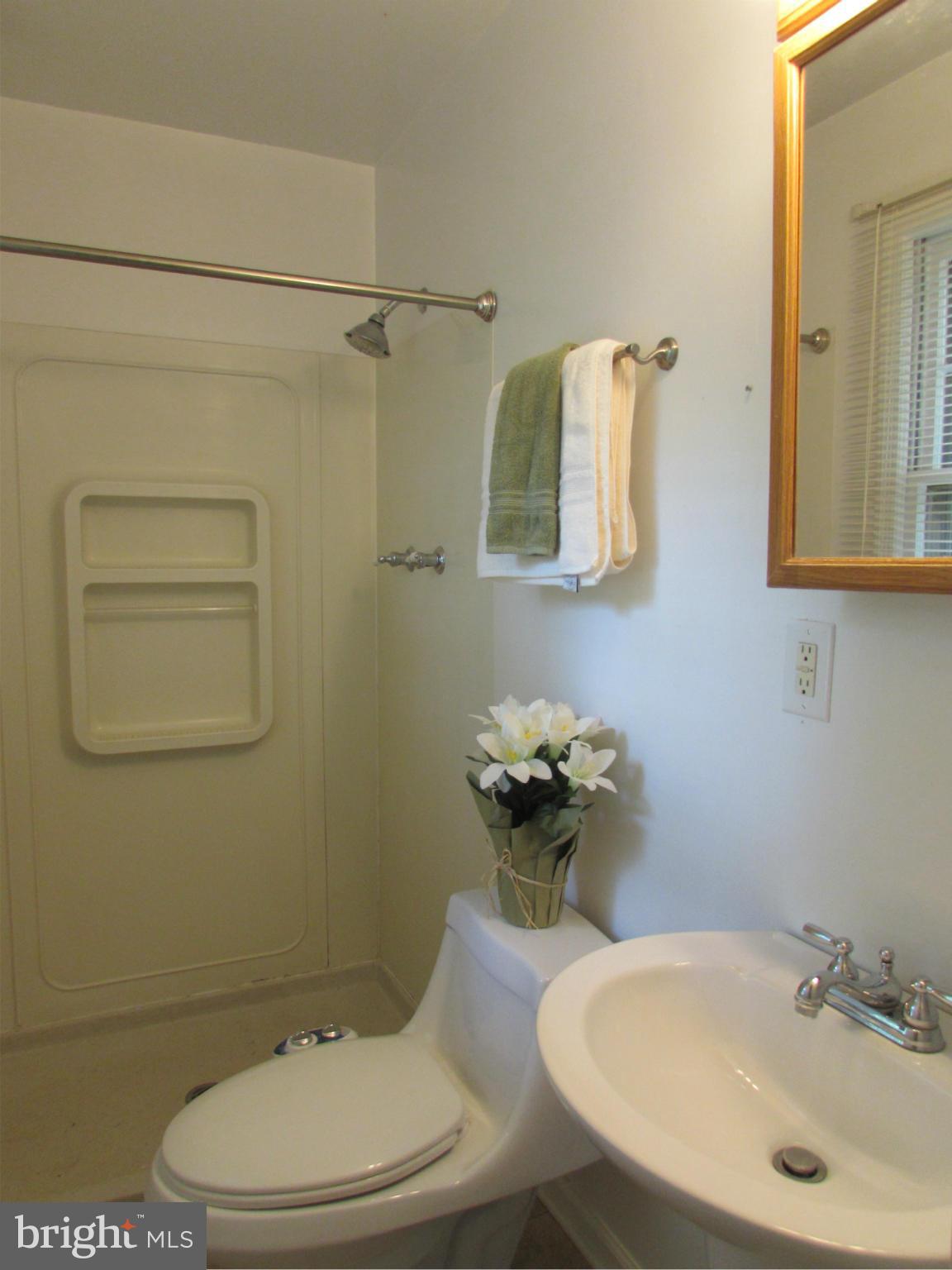 7508 Castle Road Manassas, VA 20109 - Photo 8 of 25 Bath (Master)