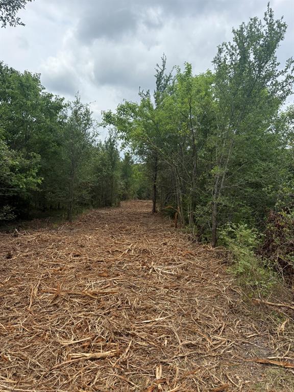 Tbd McKnight Road Ferris, TX 75125 - Photo 8 of 26