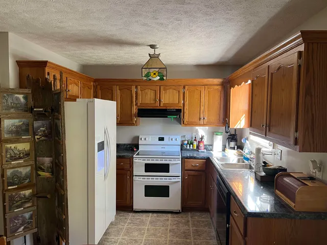 a kitchen with a refrigerator a stove a sink dishwasher and wooden cabinets