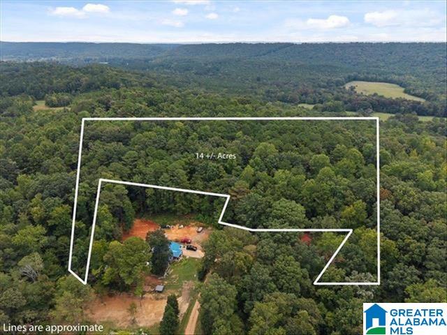 0 Cedar Drive Oneonta, AL 35121 - Photo 2 of 3
