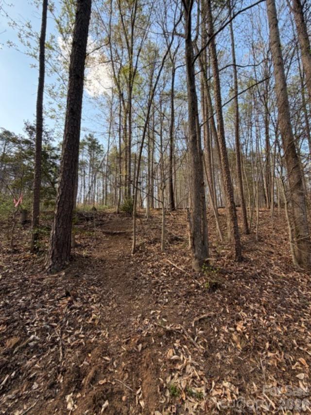 447 Hopewell Church Road, Unit 58 Catawba, NC 28609 - Photo 11 of 11