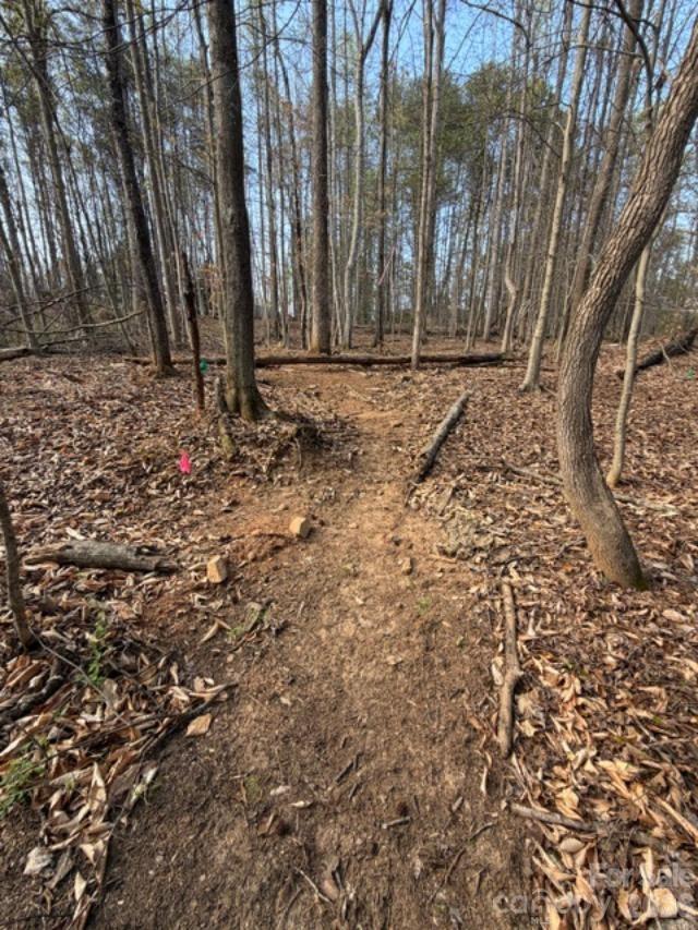 447 Hopewell Church Road, Unit 58 Catawba, NC 28609 - Photo 2 of 11