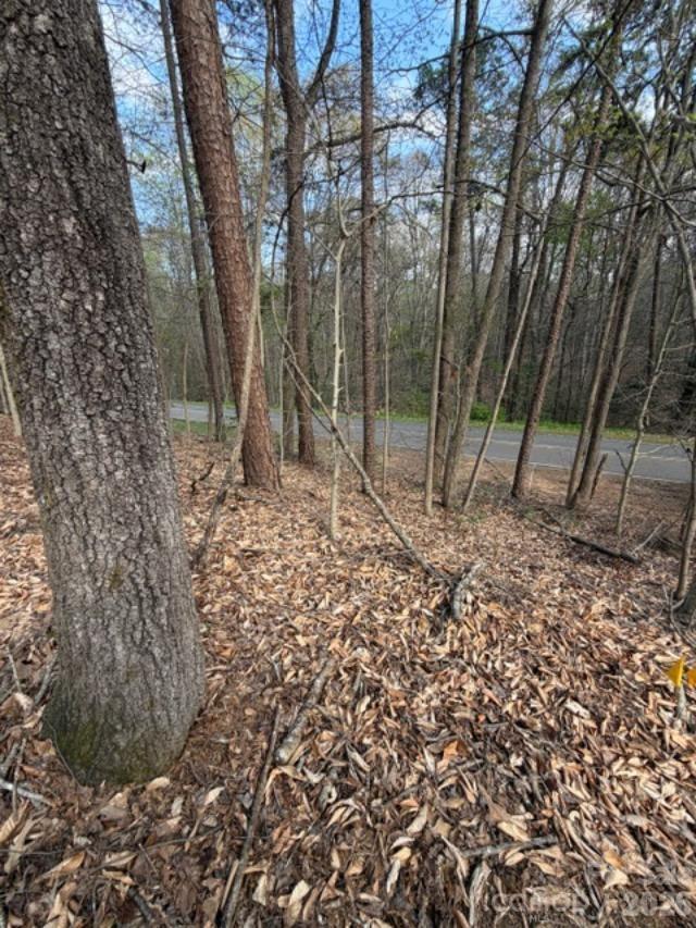 447 Hopewell Church Road, Unit 58 Catawba, NC 28609 - Photo 3 of 11