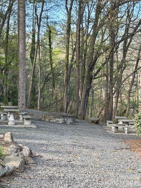 447 Hopewell Church Road, Unit 58 Catawba, NC 28609 - Photo 6 of 11