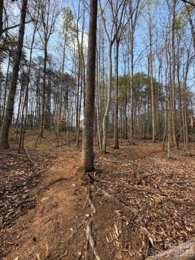 447 Hopewell Church Road, Unit 58 Catawba, NC 28609 - Photo 10 of 11