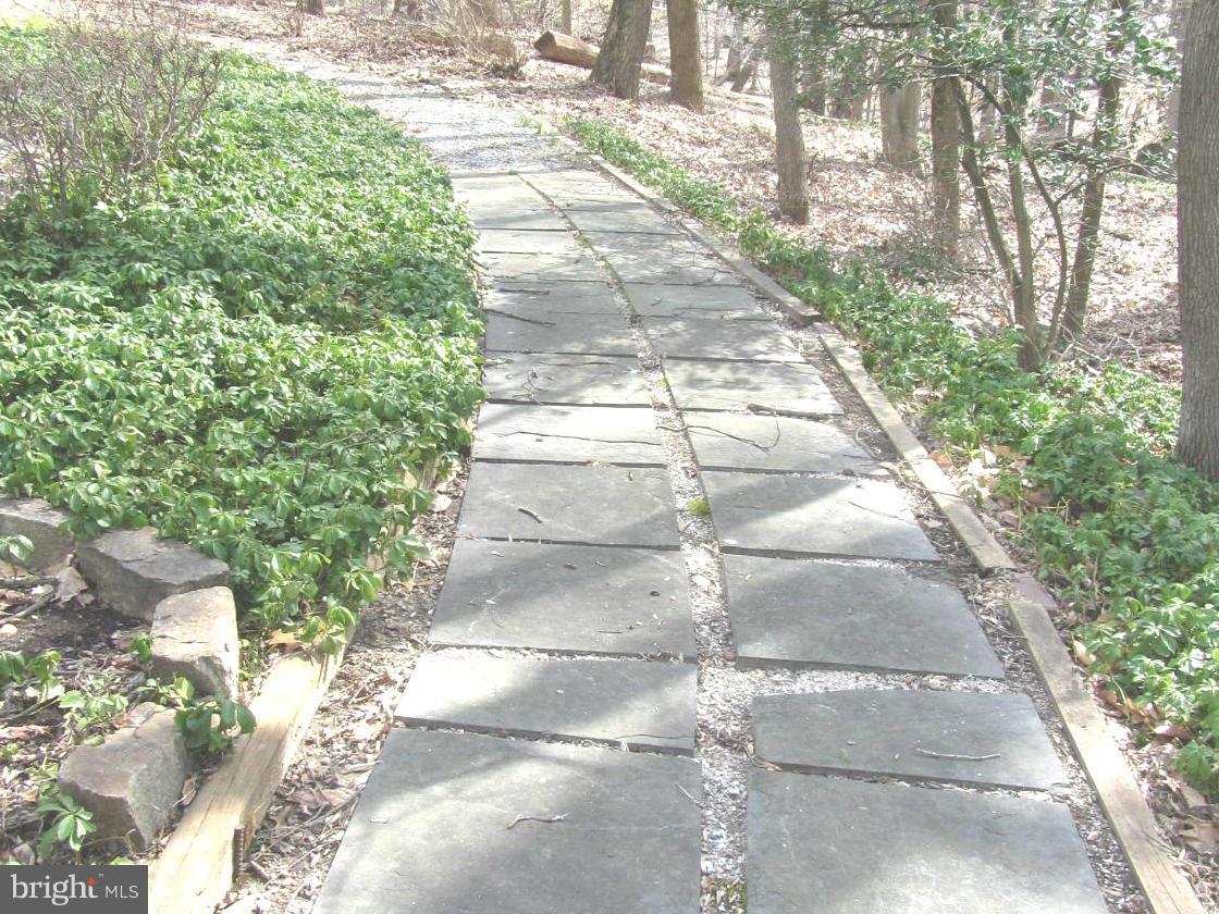 901 Huntsman Road Towson, MD 21286 - Photo 25 of 30 a view of a yard