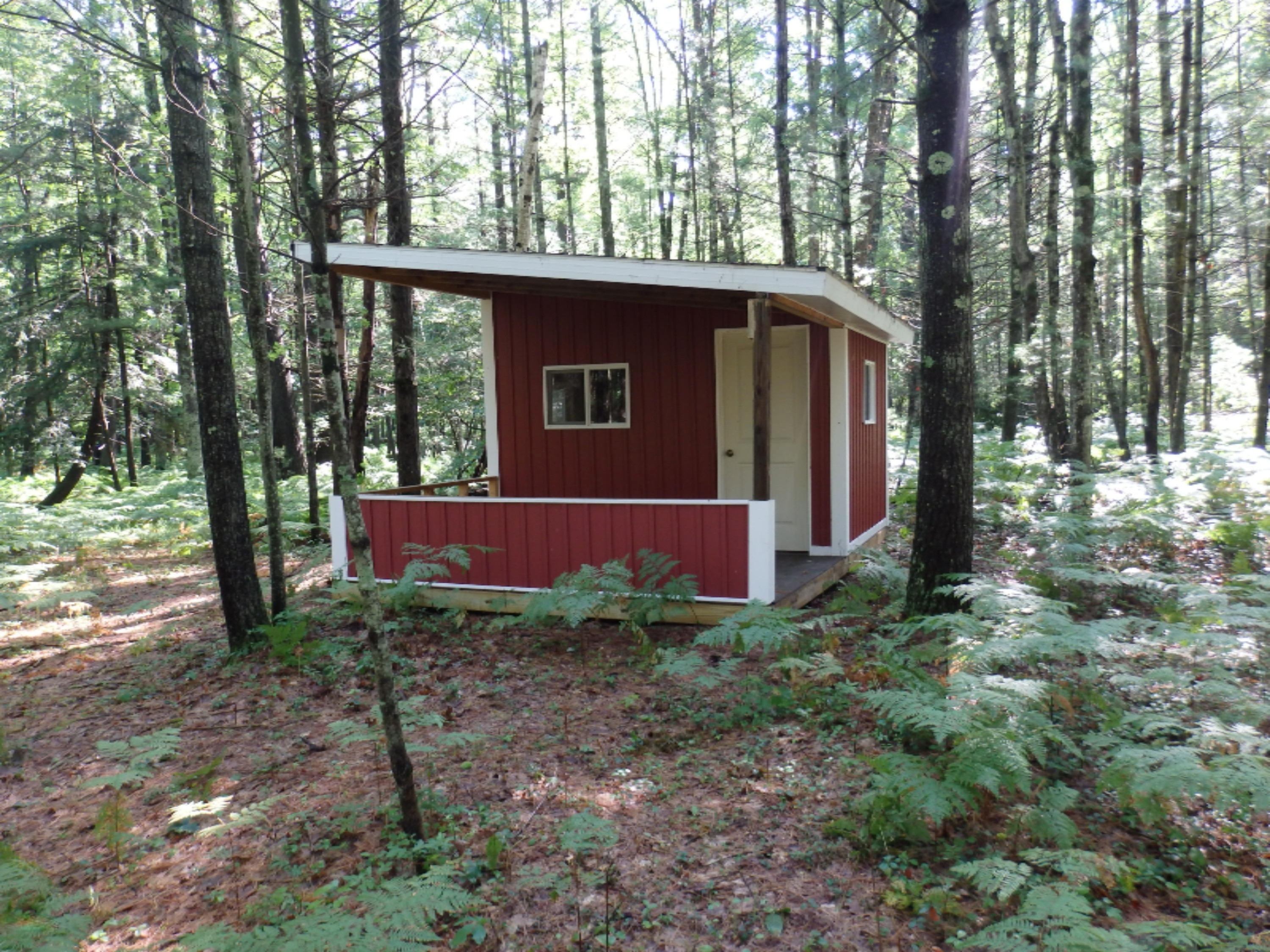 6898 West 9 Mile Road Irons, MI 49644 - Photo 25 of 39 P7211667