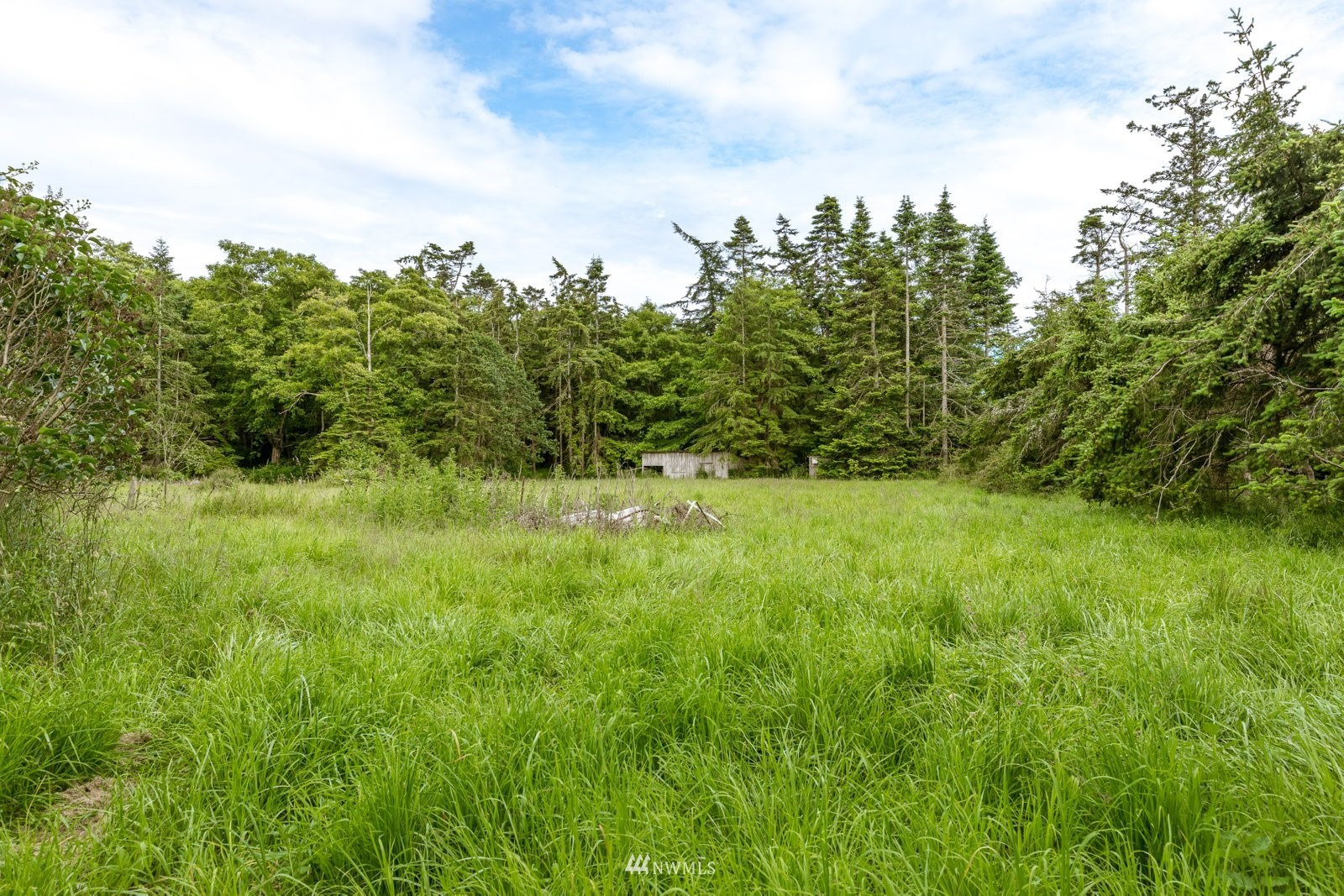 865 Patmore Road Coupeville, WA 98239 - Photo 33 of 40 Gallery Image 33
