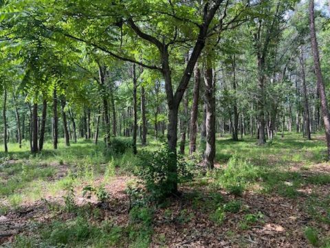 Tbd Clearwater Road North Baxter, MN 56425 - Photo 1 of 1 Gallery Image 1