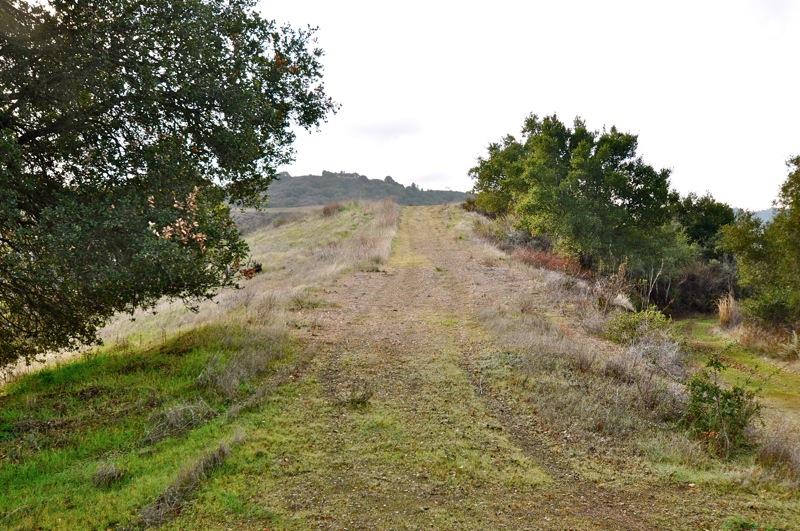 0 Mt Eden Road Saratoga, CA 95070 - Photo 8 of 27