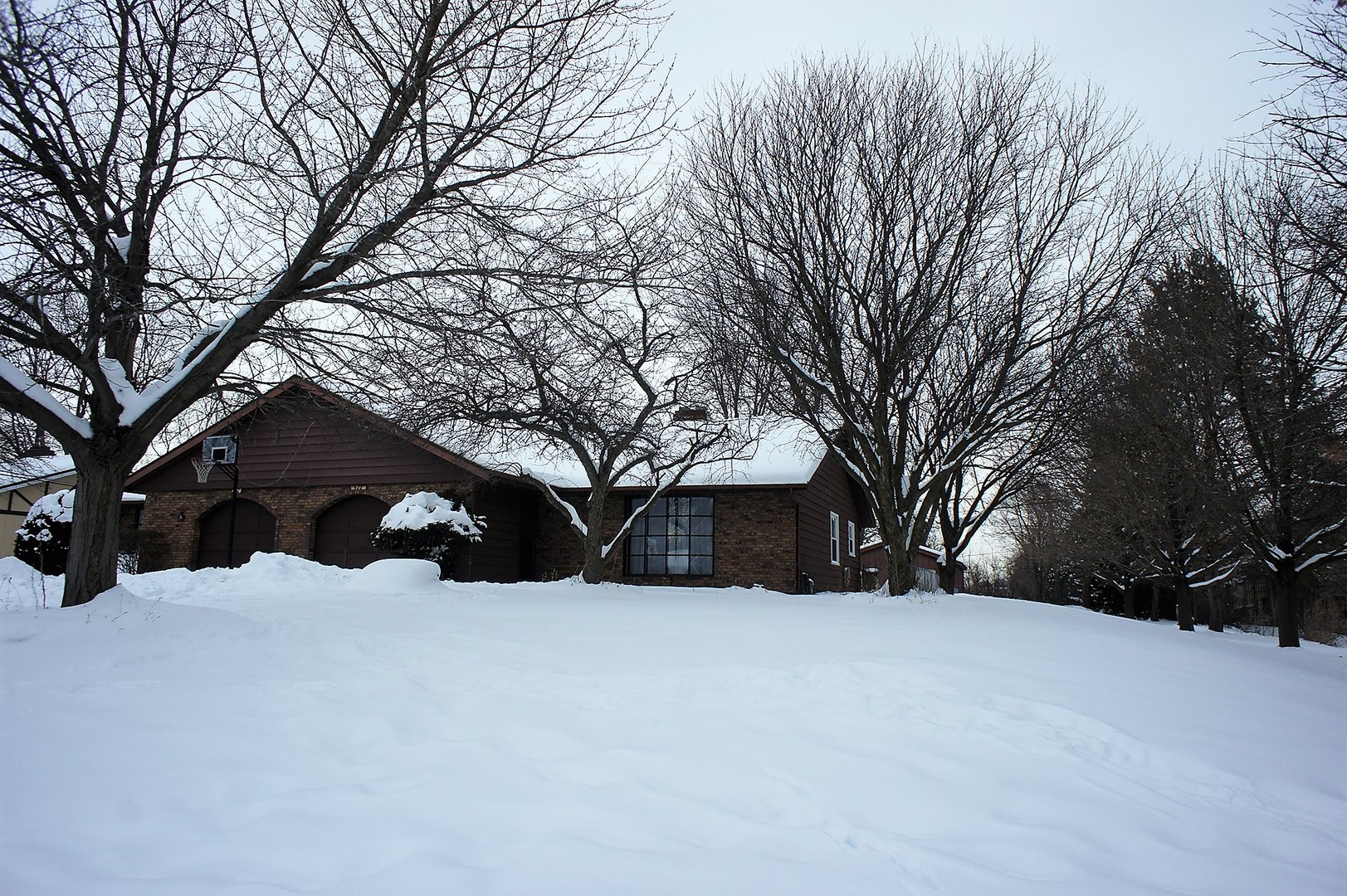 422 Ranch Road Elgin, IL 60123 - Photo 1 of 2 a view of snow covered with trees