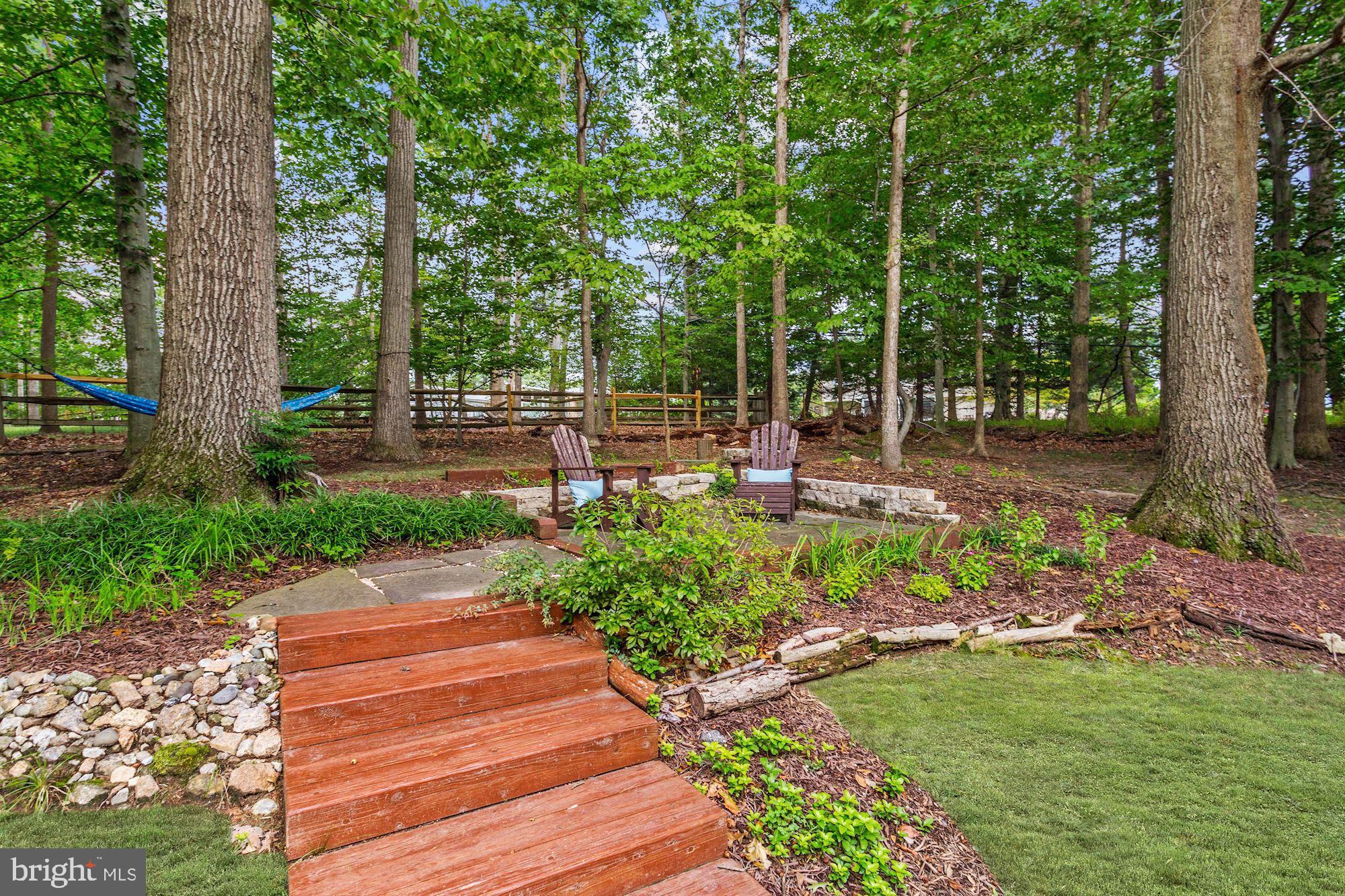 6253 Martin Road Columbia, MD 21044 - Photo 46 of 56 Private Tree Lined View