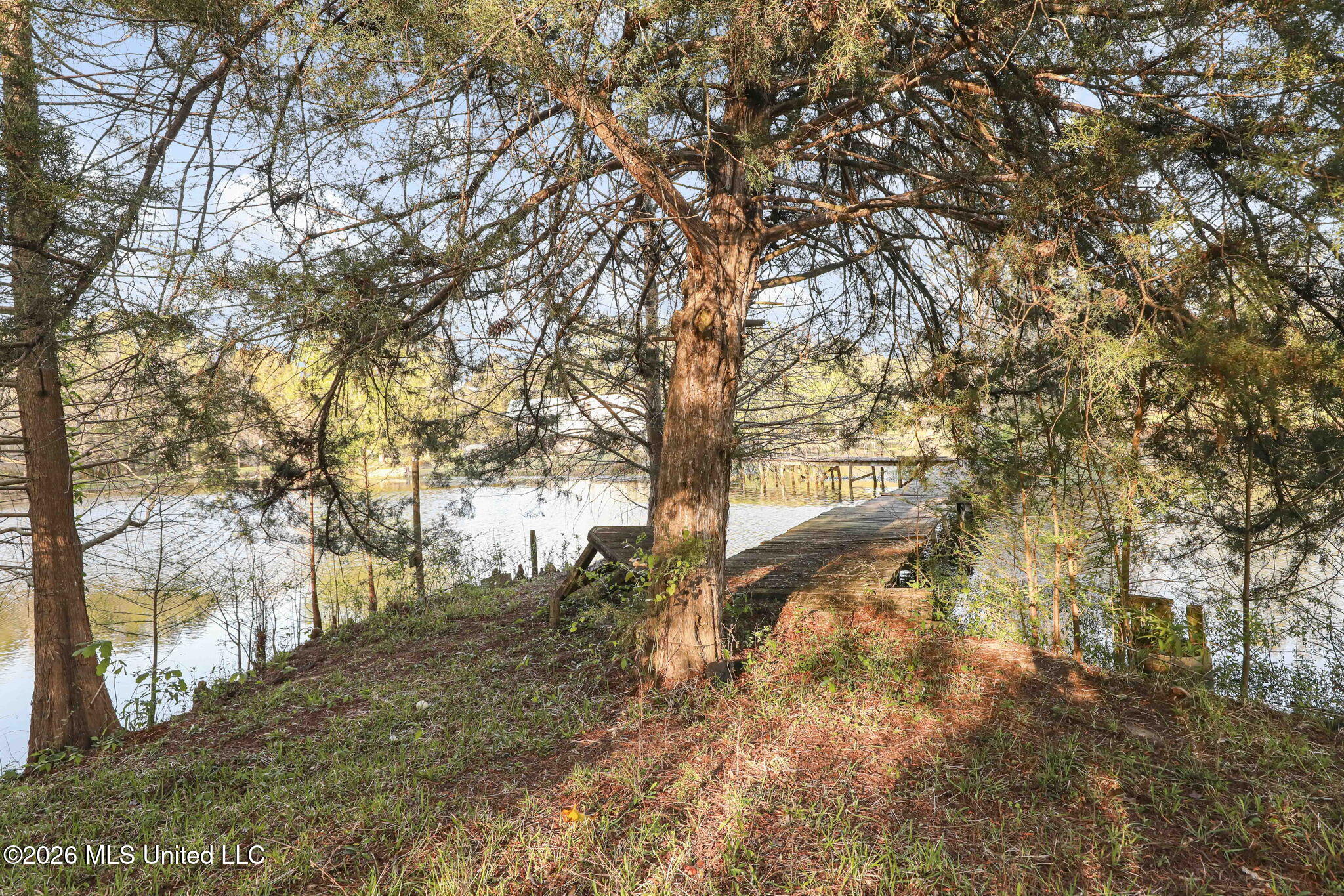 185 West Neal Road Florence, MS 39073 - Photo 61 of 77 71-web-or-mls-185 Neal Rd W-71
