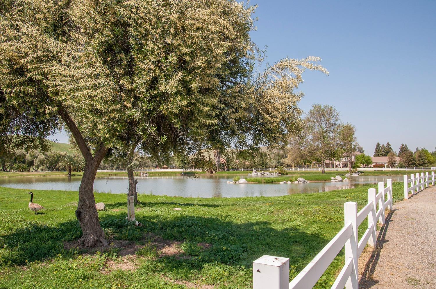 31014 Angus Loop Drive Springville, CA 93265 - Photo 4 of 58 Additional Photo