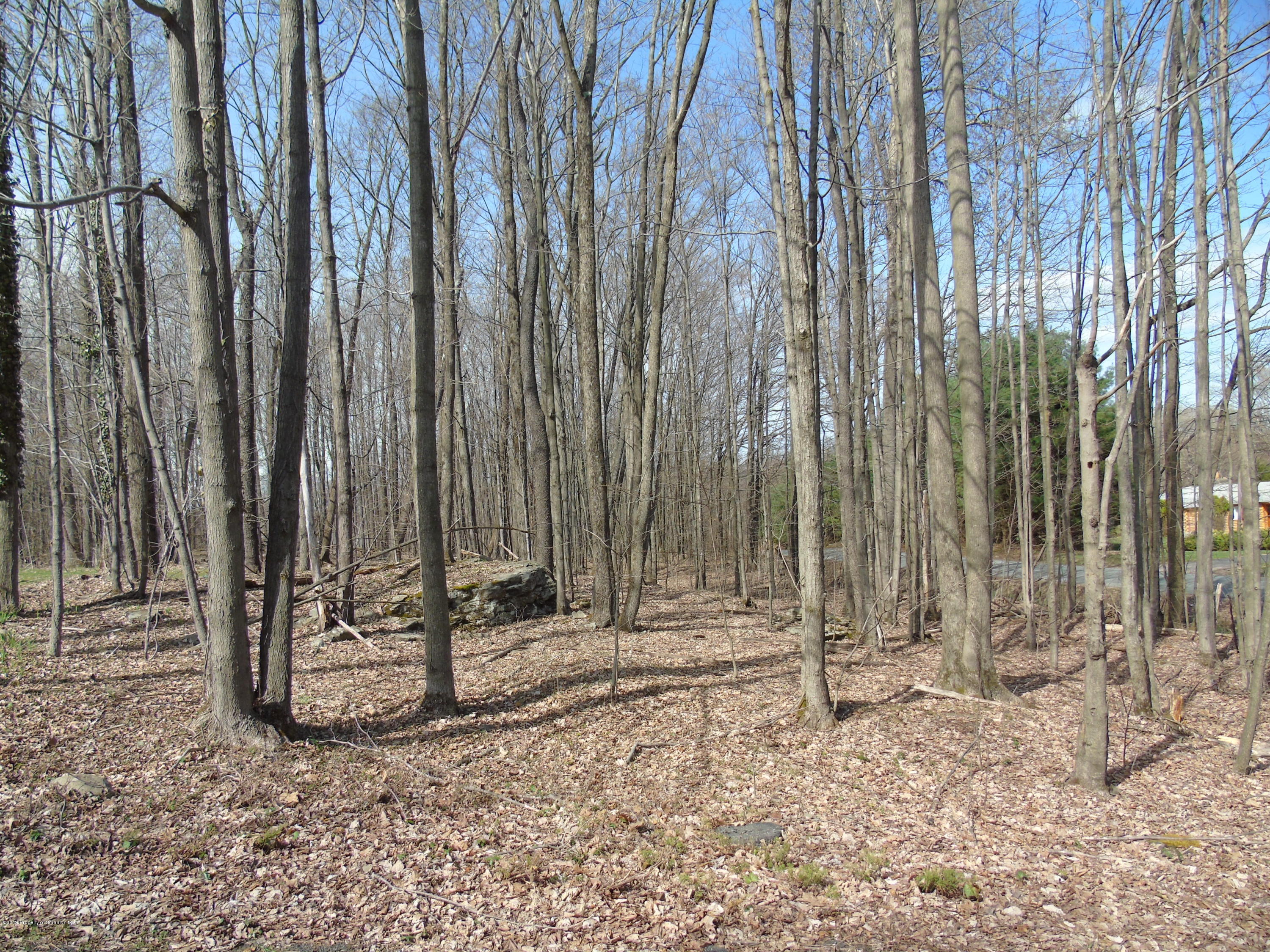 123 Anderson Road Lake Ariel, PA 18436 - Photo 28 of 37 a view of wooden fence