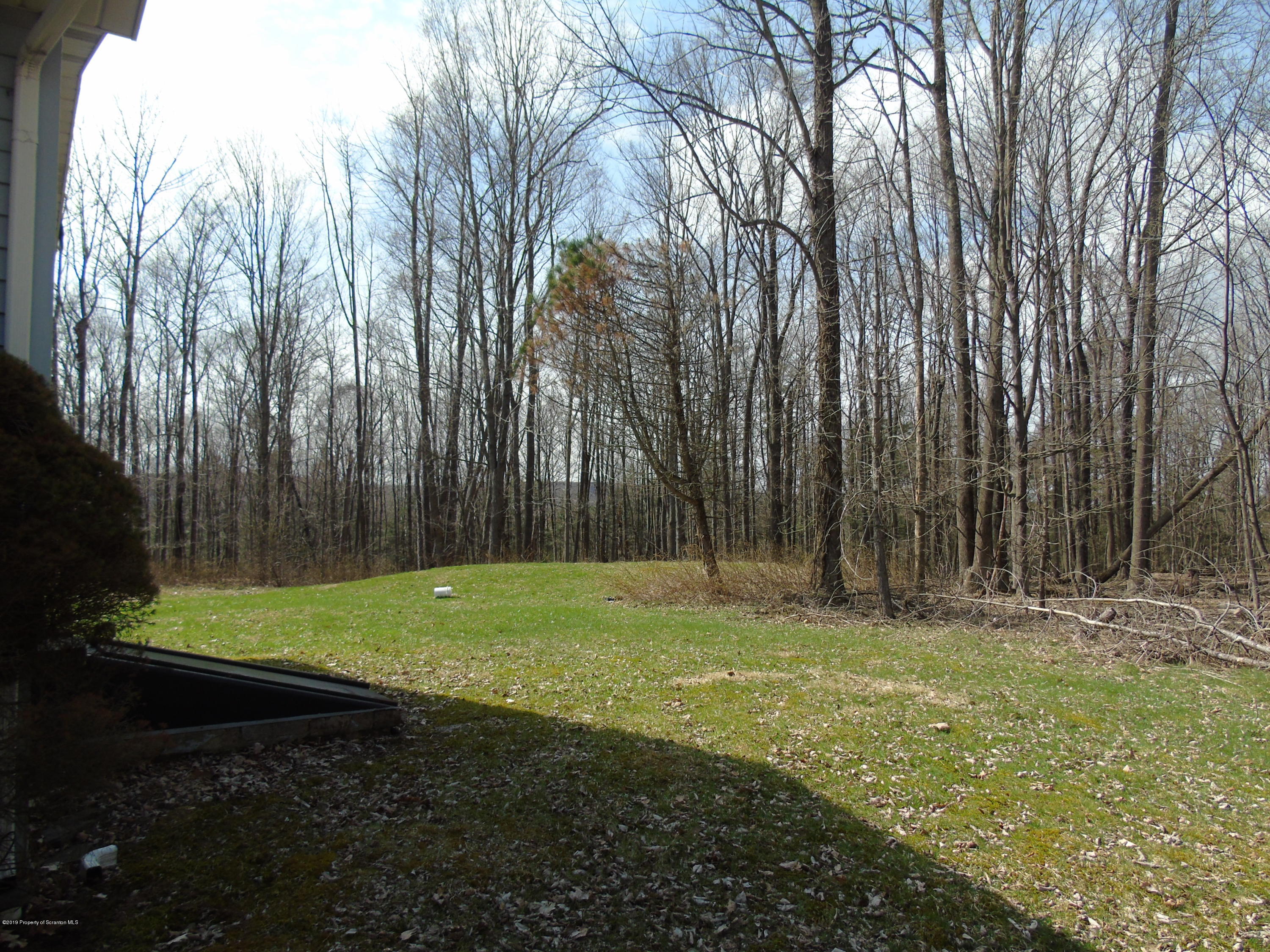 123 Anderson Road Lake Ariel, PA 18436 - Photo 31 of 37 a view of a backyard with large trees