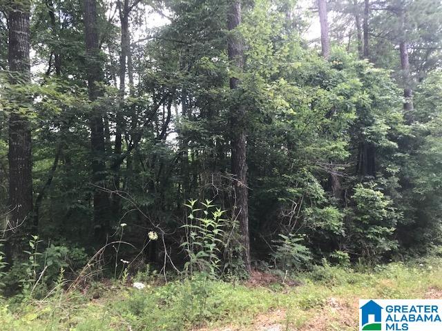 Mountain View Vance, AL 35490 - Photo 7 of 28