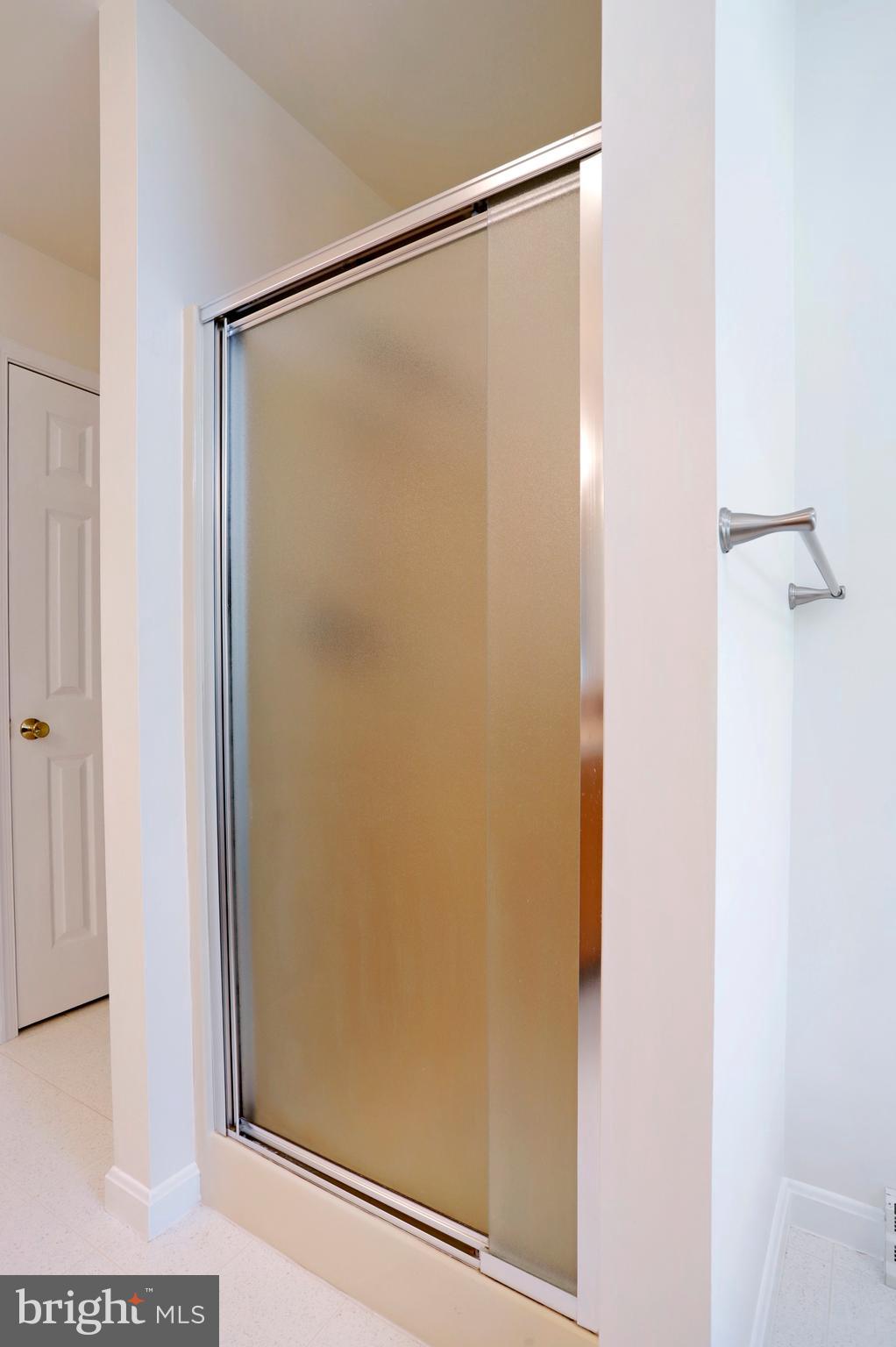 7011 Gilardi Road Boonsboro, MD 21713 - Photo 23 of 45 Master bath shower