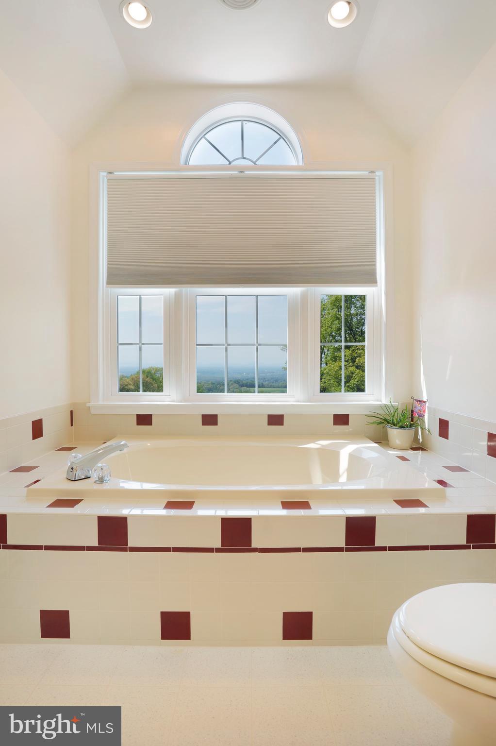 7011 Gilardi Road Boonsboro, MD 21713 - Photo 24 of 45 Master bath jacuzzi tub