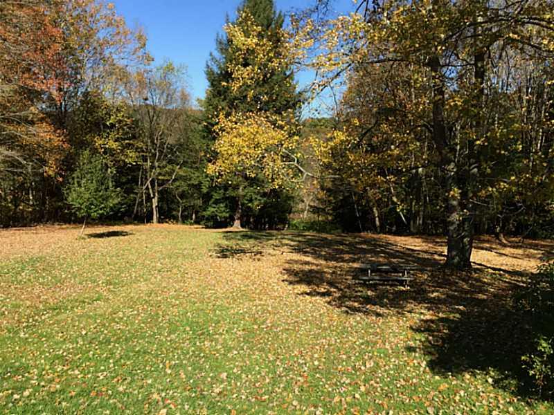 Yard/Garden. 