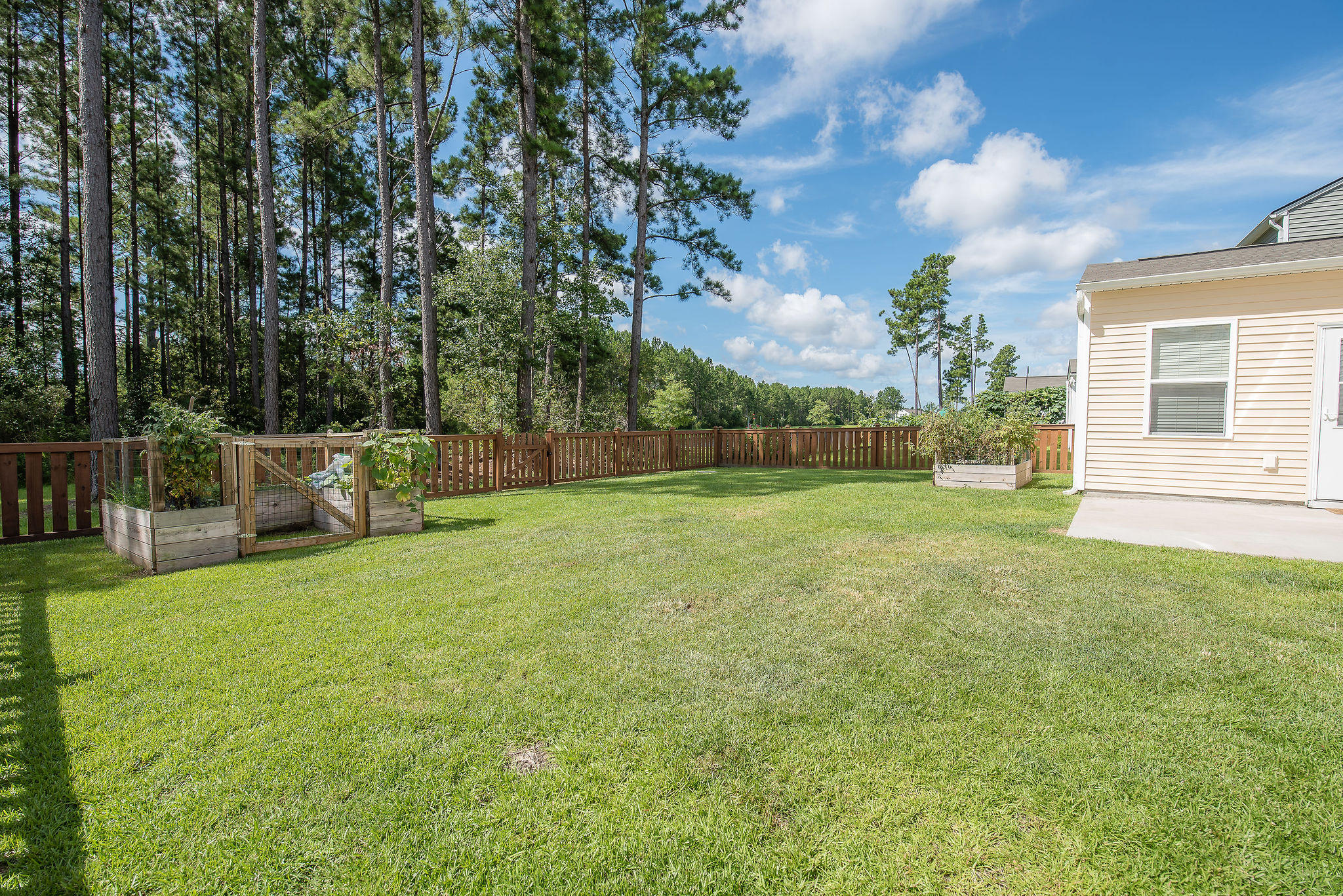 277 Decatur Drive Summerville, SC 29486 - Photo 19 of 21 277 Decatur Backyard 2