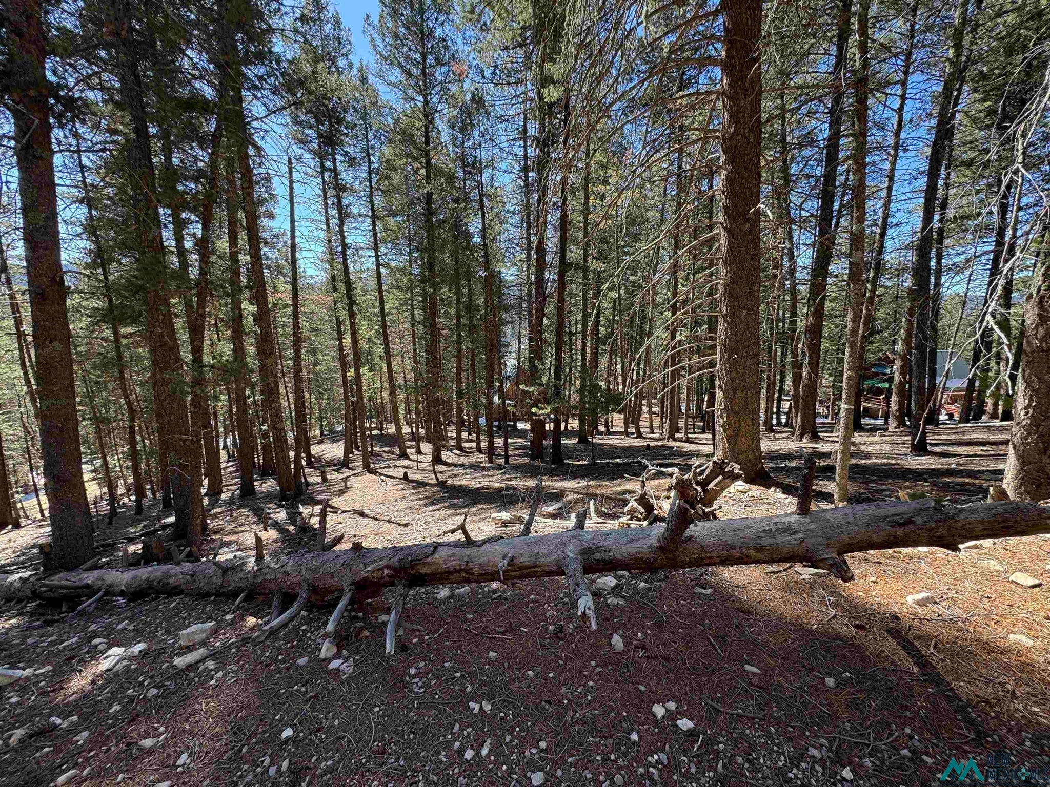 2 Lodge Spring Road Cloudcroft, NM 88317 - Photo 6 of 11 Gallery Image 6