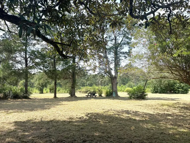 a view of outdoor space with trees