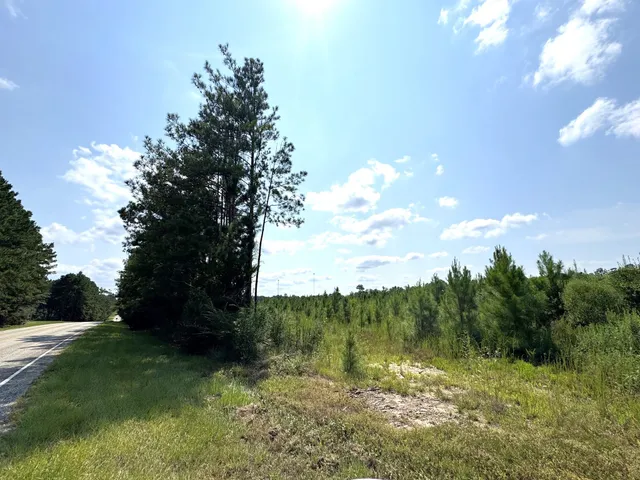 a view of lake with green space