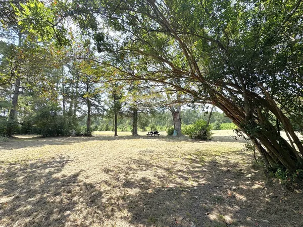 a view of outdoor space with trees