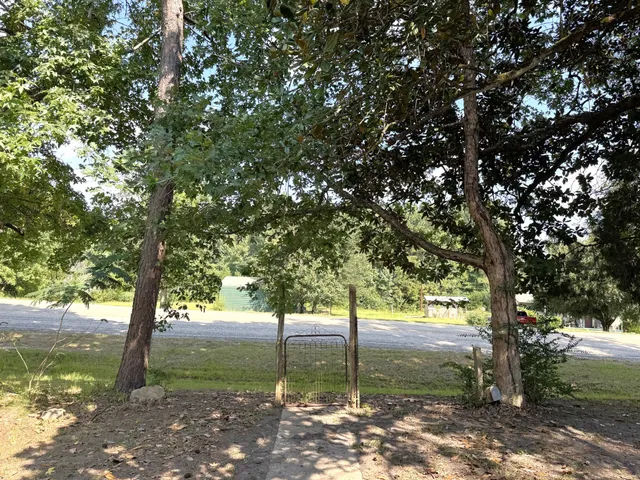 a view of a tree in the middle of a yard