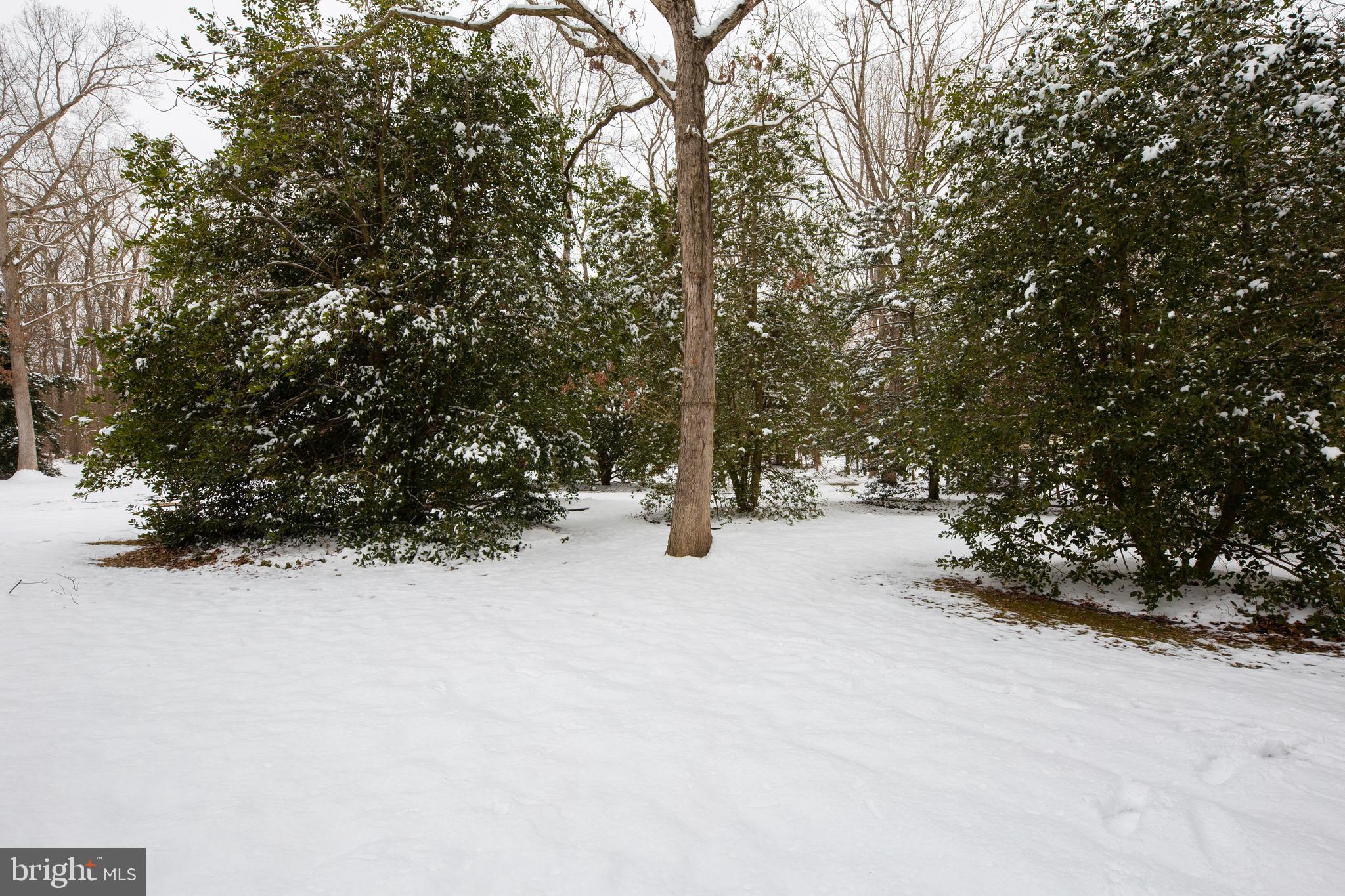 840 Big Oak Road Elmer, NJ 08318 - Photo 49 of 50