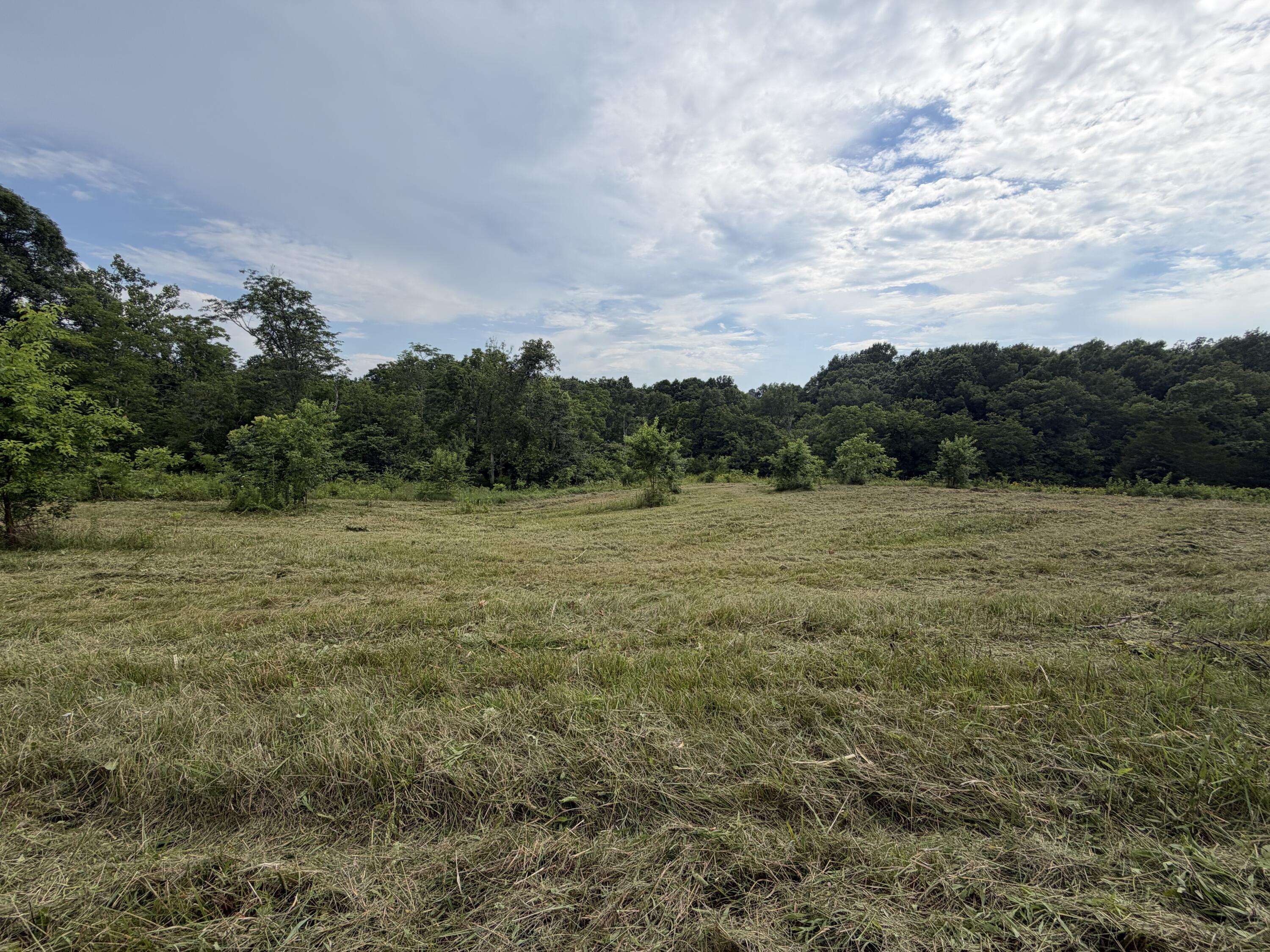 0 Swope Natlee Road Corinth, KY 41010 - Photo 10 of 16 IMG_4934