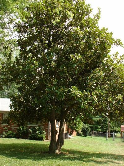 3148 Trinity Road Lexington, KY 40503 - Photo 20 of 22 Photo 20