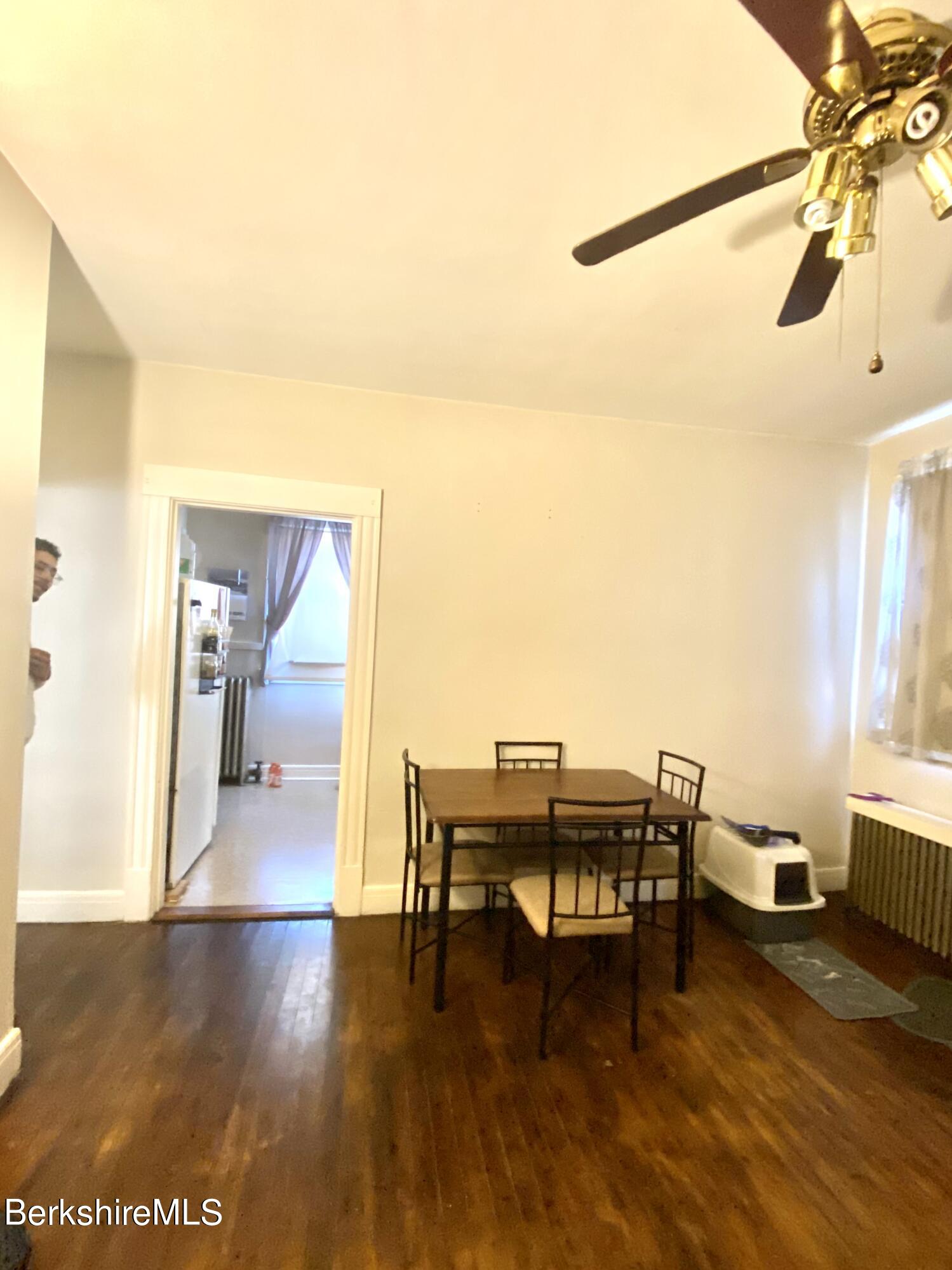 17 Buel Street Pittsfield, MA 01201 - Photo 4 of 6 IMG-2090