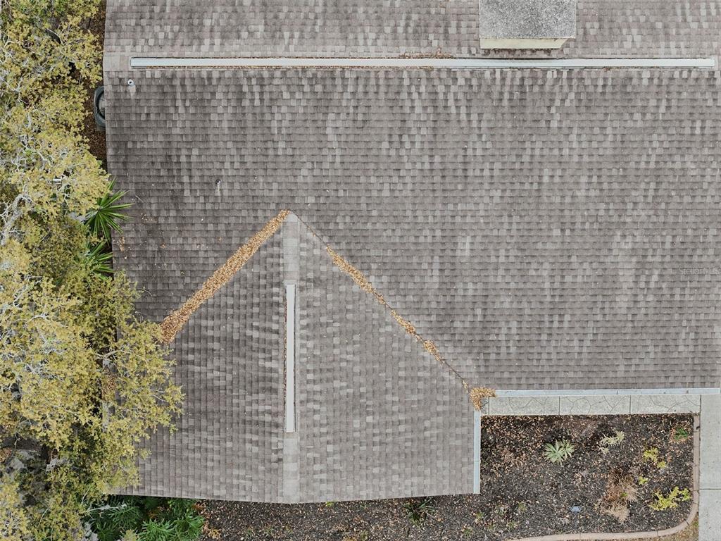 9062 Blackstone Street Spring Hill, FL 34608 - Photo 46 of 49